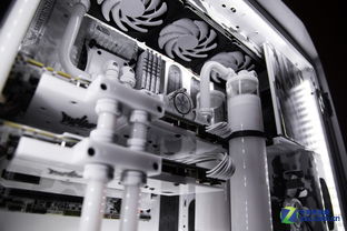 風(fēng)格迥異高顏值 影馳mod主機精美圖賞