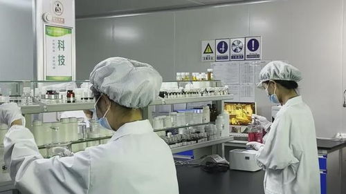 碧蓮生物 化妝品工廠為品牌代加工壓力大不大,科技探索創(chuàng)新產(chǎn)品